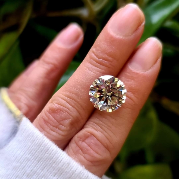 Meet your Posher, Vashti - Picture 5 of 13